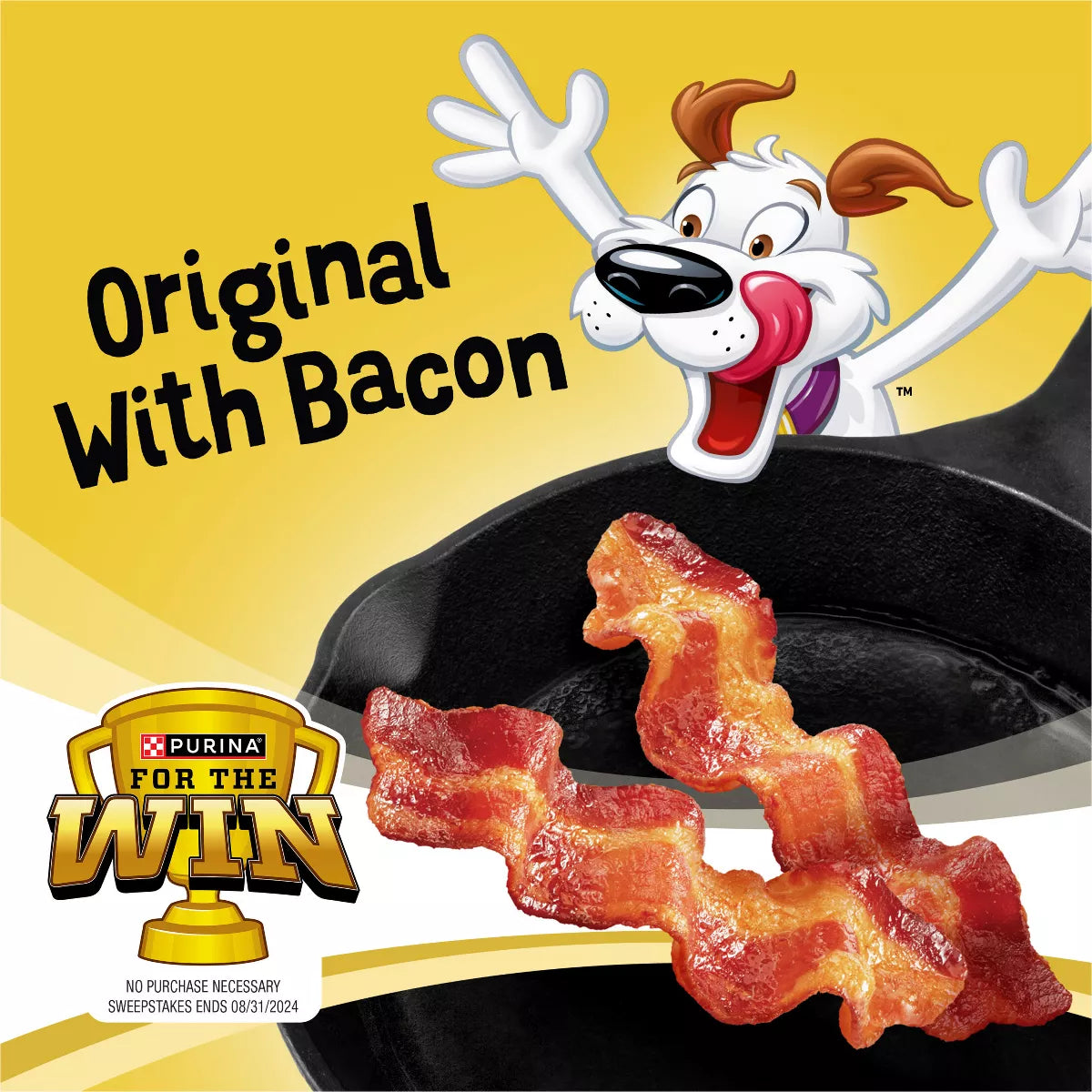 Purina Beggin' Strips Dog Training Treats with Bacon Chewy Dog Treats