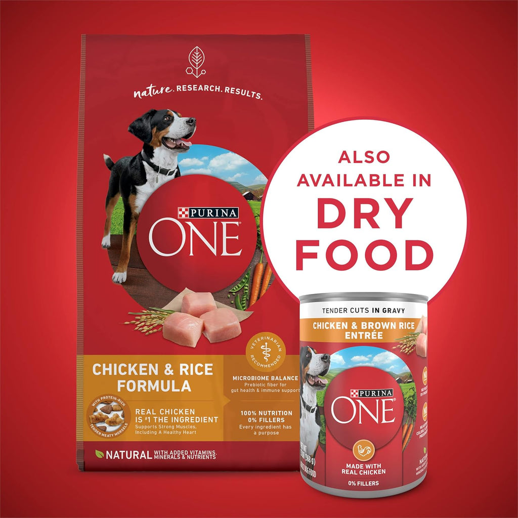 Natural High Protein Dog Food, Tender Cuts in Gravy Chicken and Brown Rice Entrée - 13 Ounce (Pack of 12)