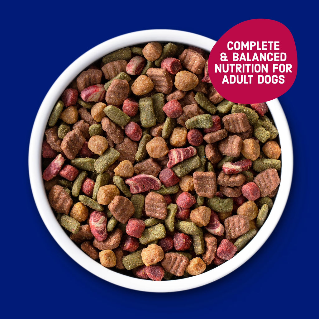 Kibbles 'N Bits Bistro Oven Roasted Beef, Vegetable & Apple Flavors Dry Dog Food, 45 Lb.