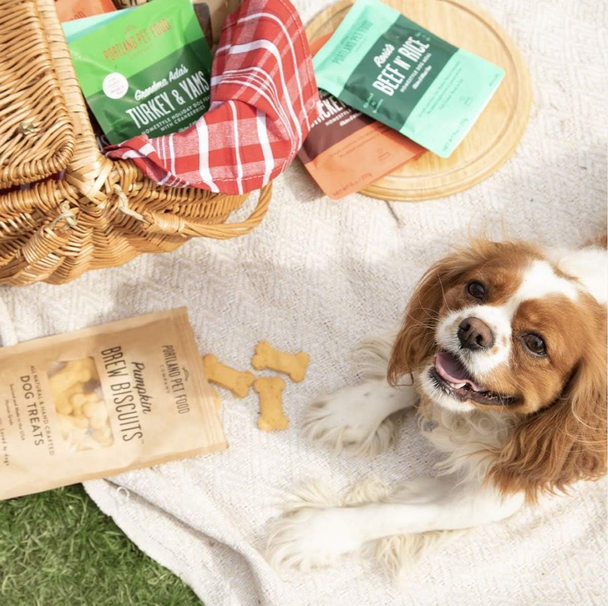 Portland Pet Food Company Hopkin'S Pork 'N' Potato All Natural Dog Food, Fully Cooked Microwavable Meal Pouches, Grain & Gluten-Free, USA Made, 4 Pack (4 X 9Oz)