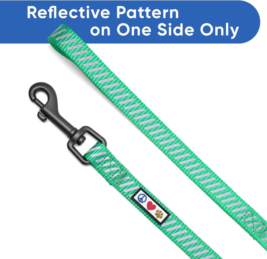 Aquamarine Reflective Traffic Dog Leash, X-Small/Small