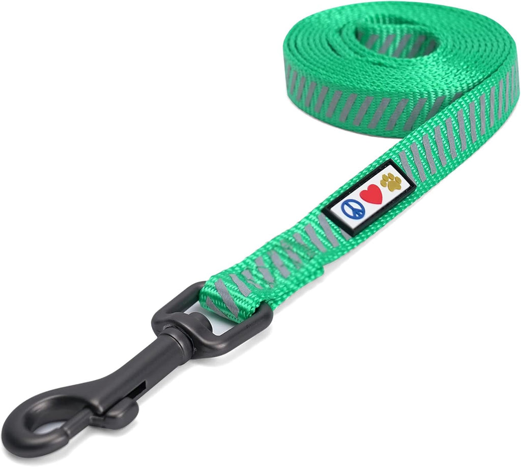 Aquamarine Reflective Traffic Dog Leash, X-Small/Small