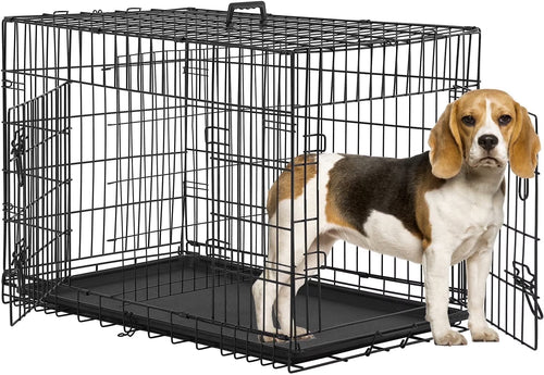 Animal Pet Cage with Plastic Tray and Handle, 36 Inches, Large