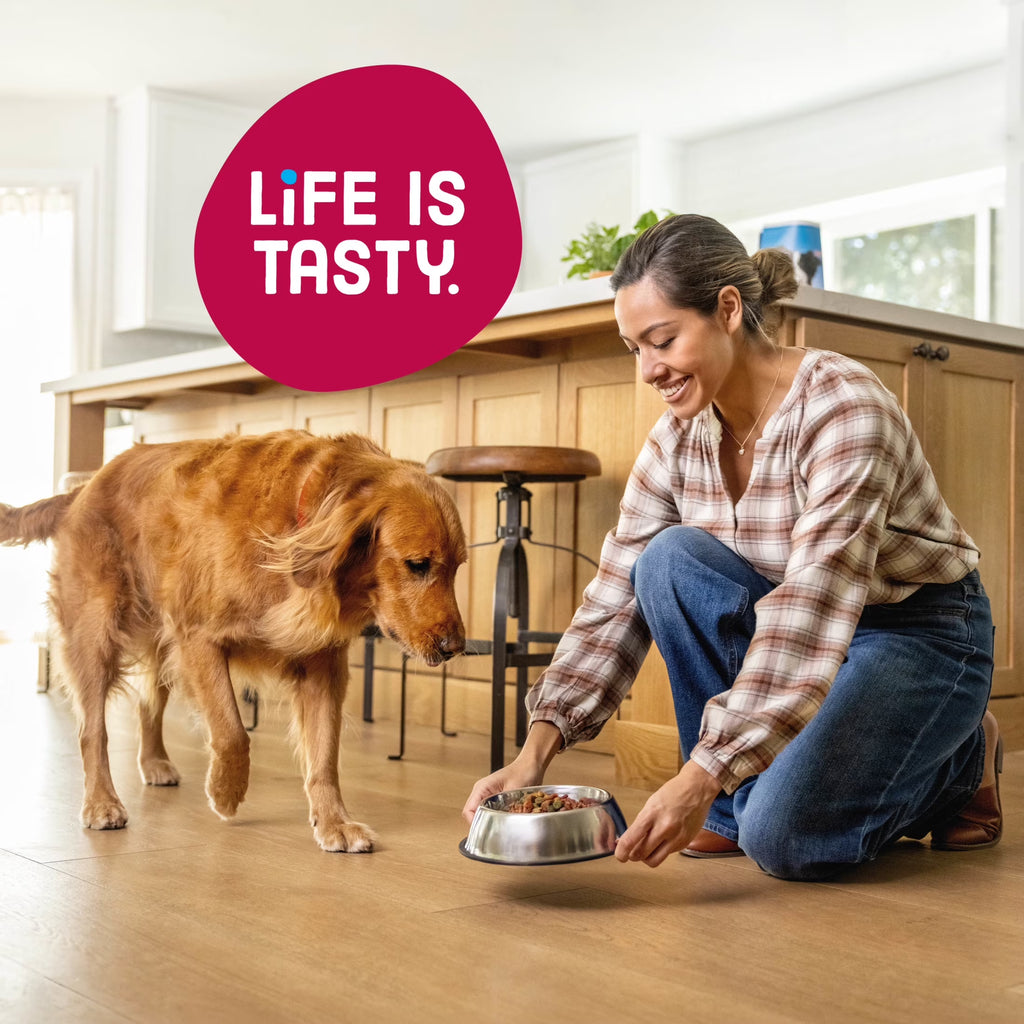 Kibbles 'N Bits Bistro Oven Roasted Beef, Vegetable & Apple Flavors Dry Dog Food, 45 Lb.