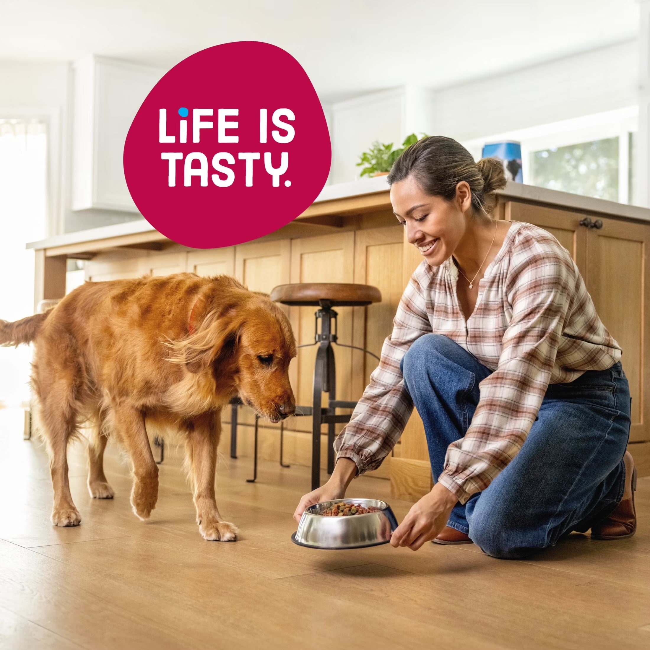 Kibbles 'N Bits Bistro Oven Roasted Beef, Vegetable & Apple Flavors Dry Dog Food, 45 Lb.