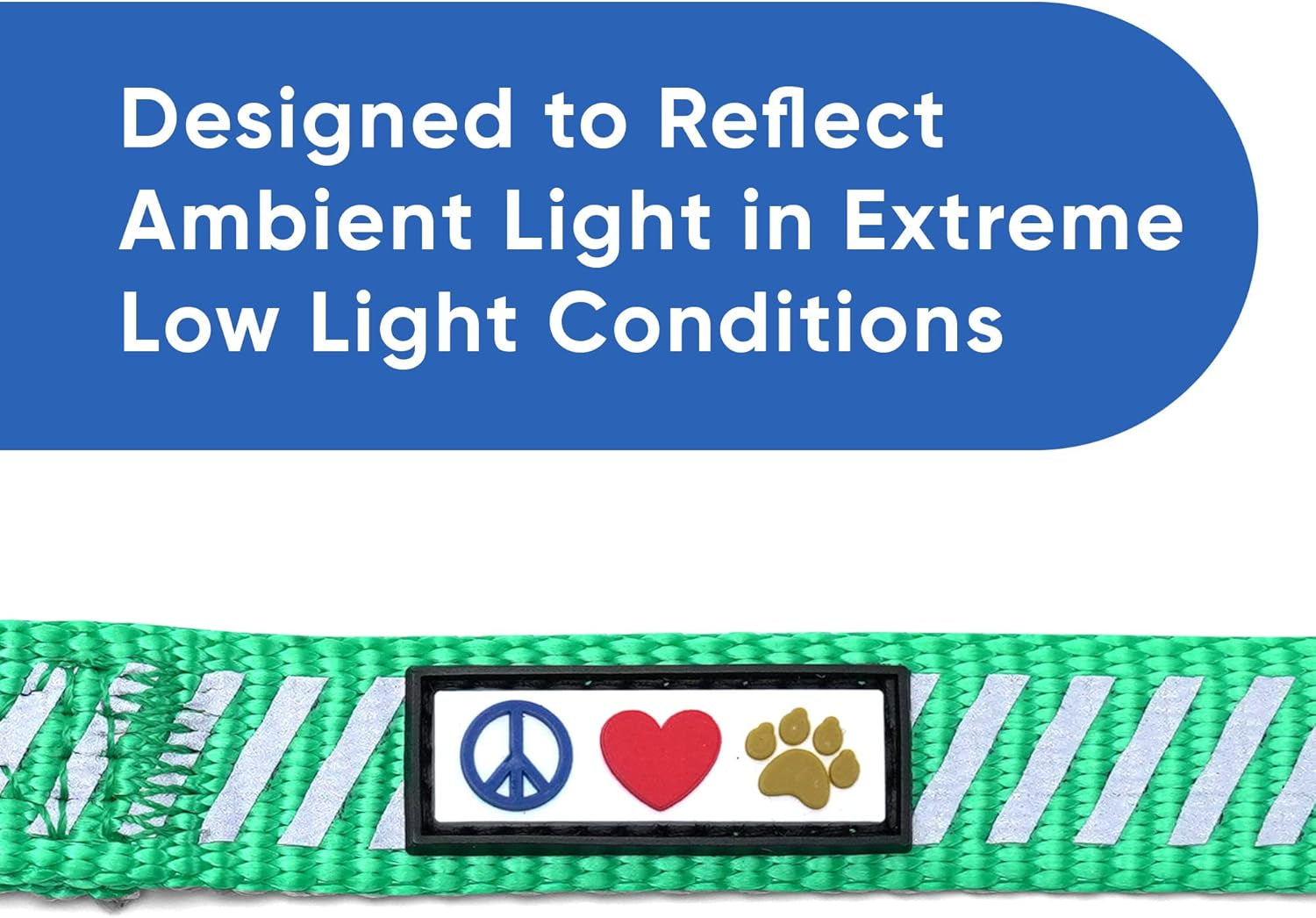 Aquamarine Reflective Traffic Dog Leash, X-Small/Small