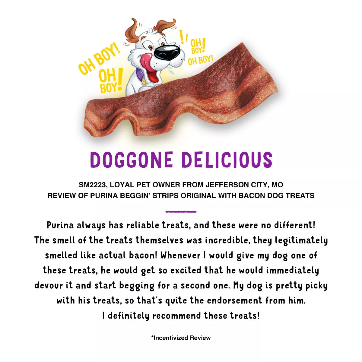 Purina Beggin' Strips Dog Training Treats with Bacon Chewy Dog Treats