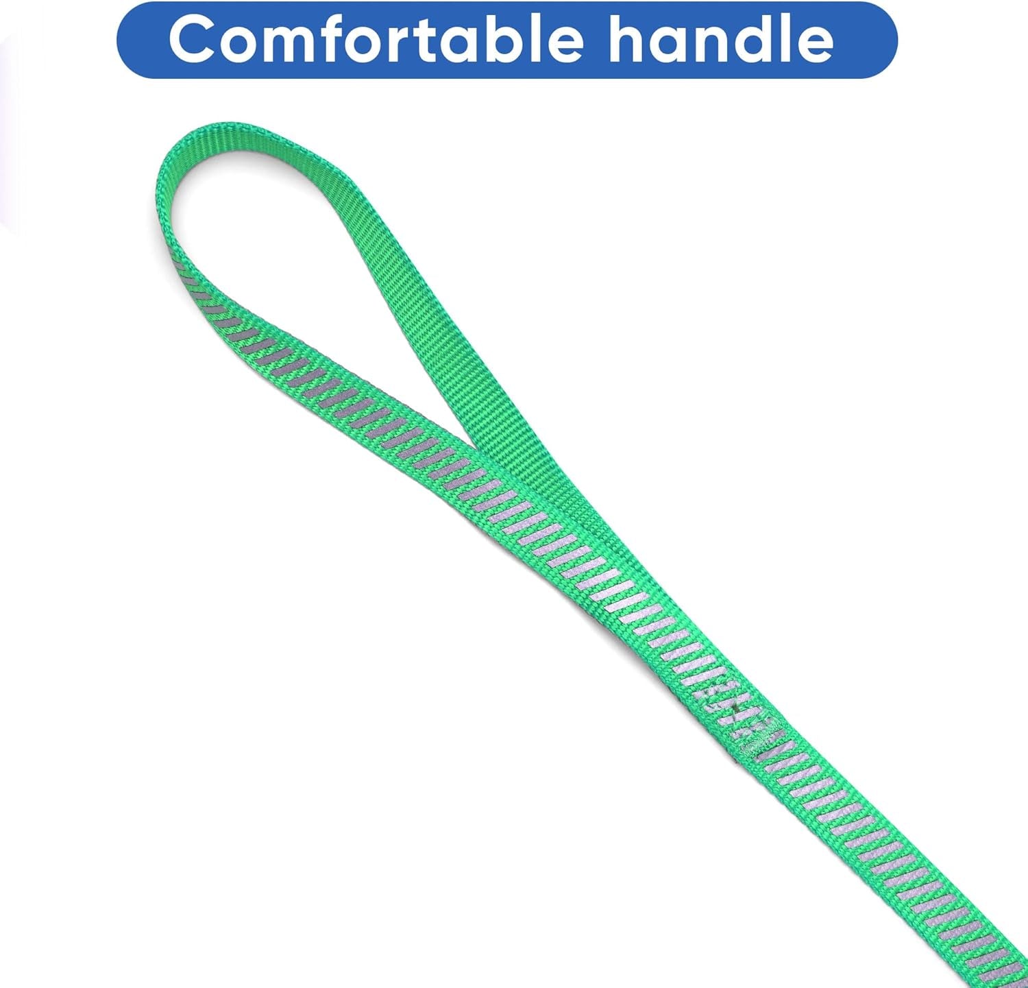 Aquamarine Reflective Traffic Dog Leash, X-Small/Small