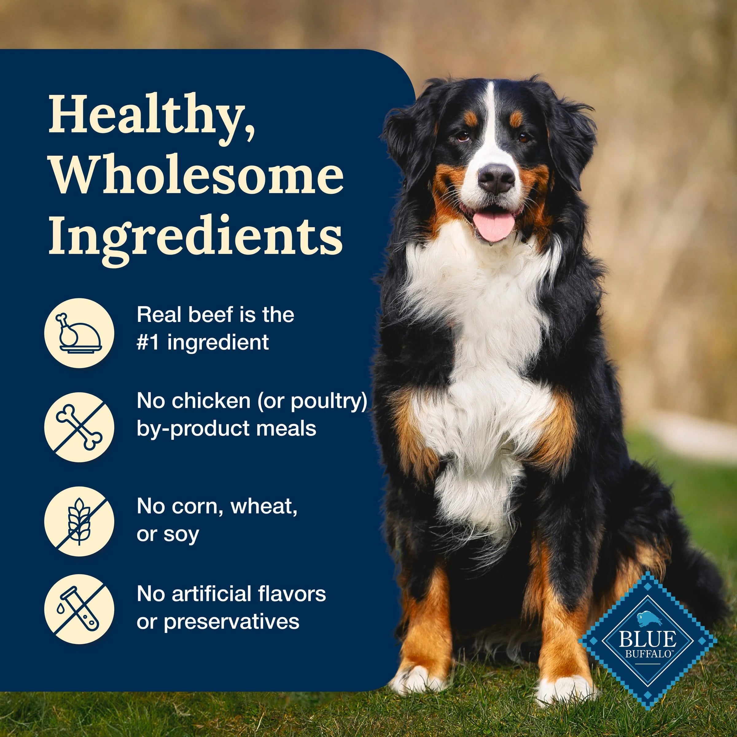 (3 Pack)  Delectables Natural Wet Dog Food Toppers, Hearty Beef, 3-Oz Pouch